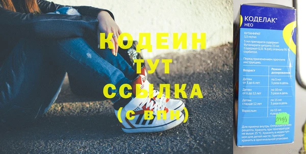 шишки Новодвинск