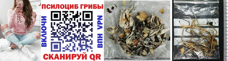 hydra tor  где найти   Оса  Галлюциногенные грибы Cubensis 